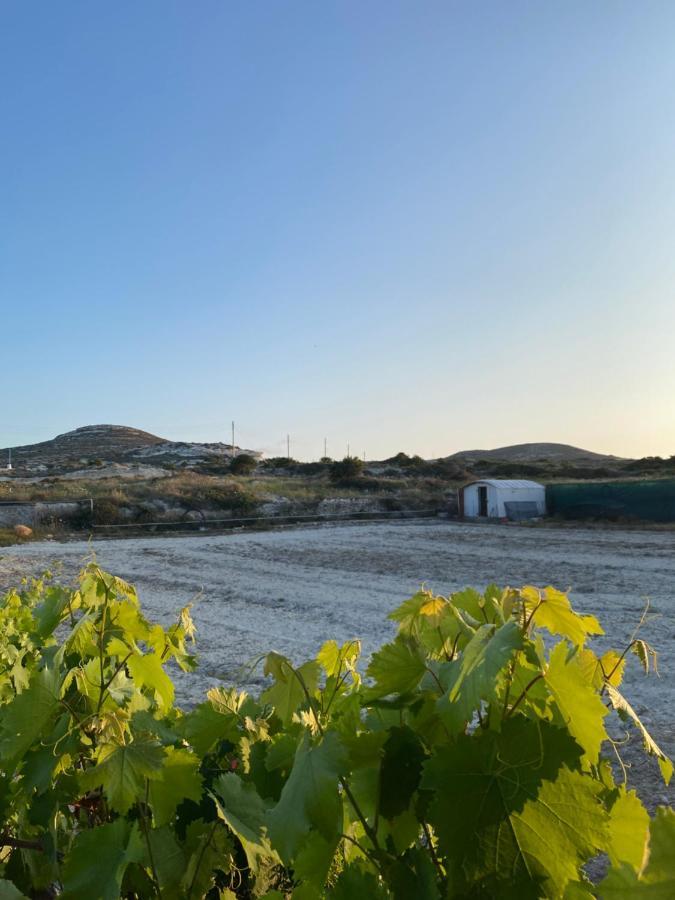 הוילה Mandrakia Amato מראה חיצוני תמונה