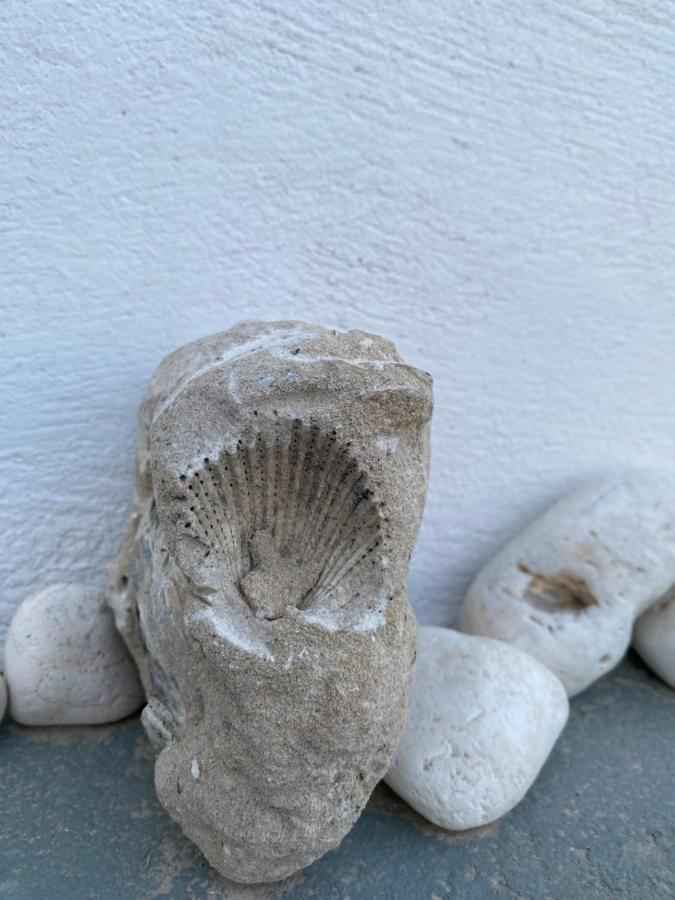 הוילה Mandrakia Amato מראה חיצוני תמונה