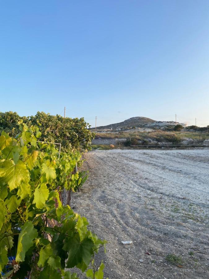 הוילה Mandrakia Amato מראה חיצוני תמונה